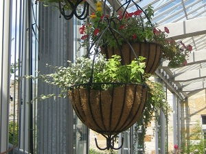 hangplant pergola