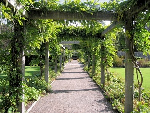 pit ondergronds schaamte Zelf een Houten Pergola Maken - Stappenplan! - Blog | Tuinafscheiding.nl