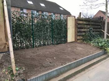 Pretentieloos assistent coupon Hedera Helix Woerner | Tuinafscheiding.nl
