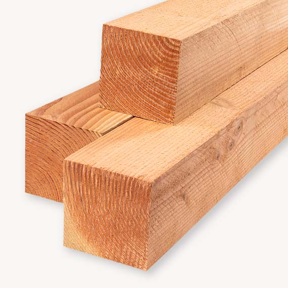 Douglas paal | ruw | blank | 20x20 cm | 1-ex log