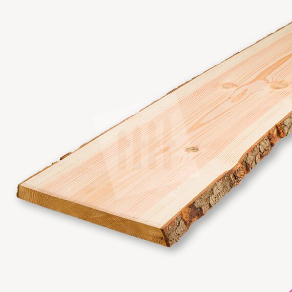 Douglas schaaldeel | gedroogd | blank
