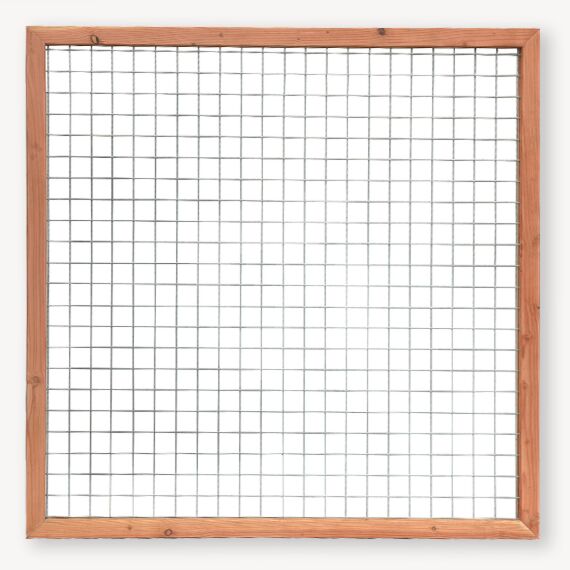 Gaaspaneel met rand | douglashout | blank