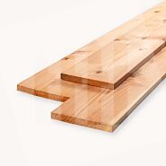 Douglas plank | geschaafd | blank | 1,9x19,5 cm