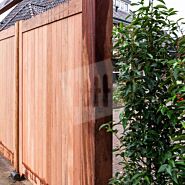 Dichte poort | Dubbele deuren | 125 cm | 125 cm