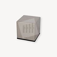 In-Lite CUBID