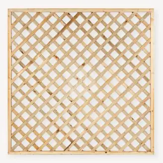 Trellisscherm grenen Diagonaal