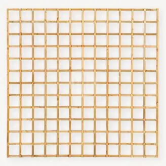 Trellisscherm grenen Robuust