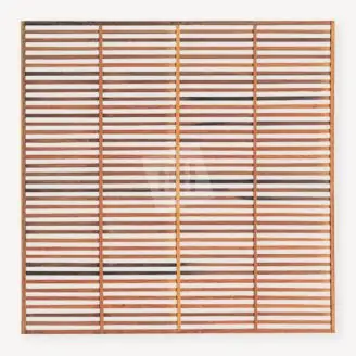 Trellisscherm hardhout Modern