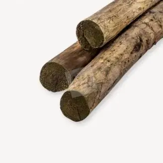 PEFC Kastanje paal | 8-10 cm