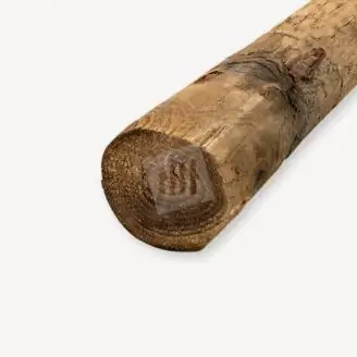 PEFC Kastanje paal | 12-14 cm